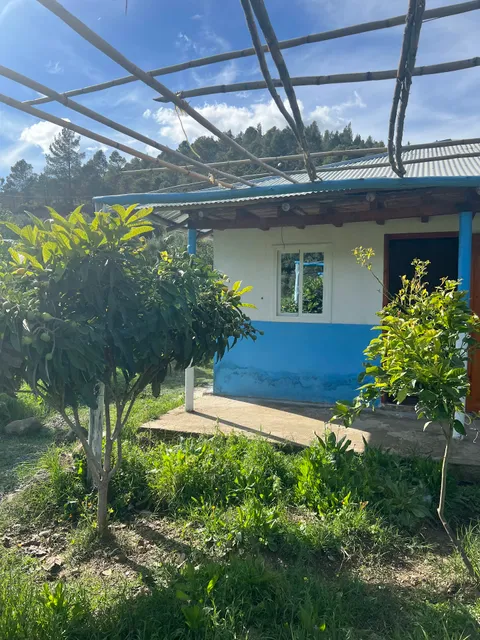 Gîte Écotourisme Rural Dar Zitouna