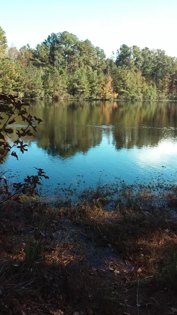 Sneed Electrical & Appliance