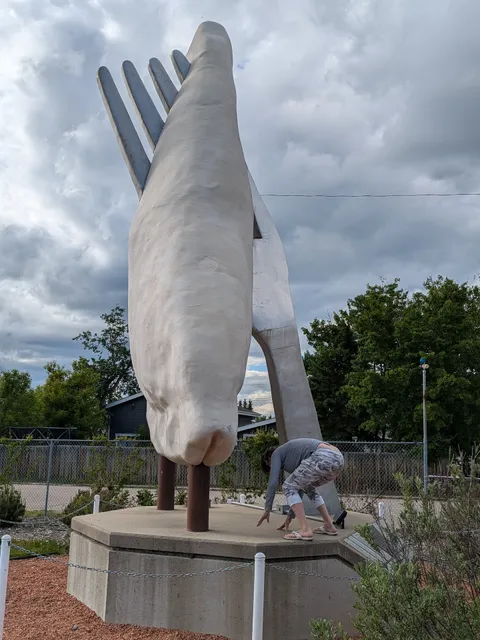 photo-1