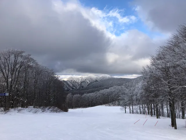 蔵王温泉スキー場 ダイヤモンドバレー