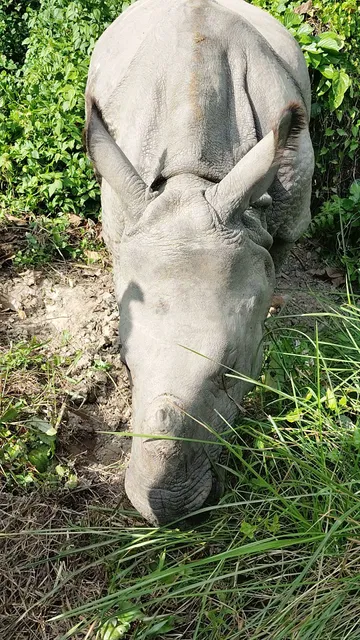 Kings Jungle Safari & Culture Home Stay