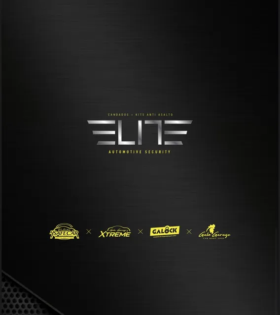 ELITE seguridad automotriz candado de cofre y polarizados