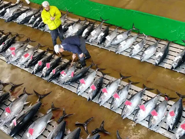 銚子漁港 第1卸売場