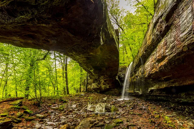 Alum Cove Natural Bridge Recreation Area