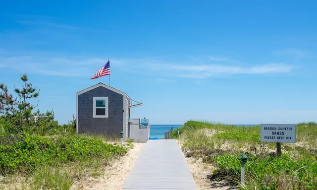 Driftwood On The Ocean