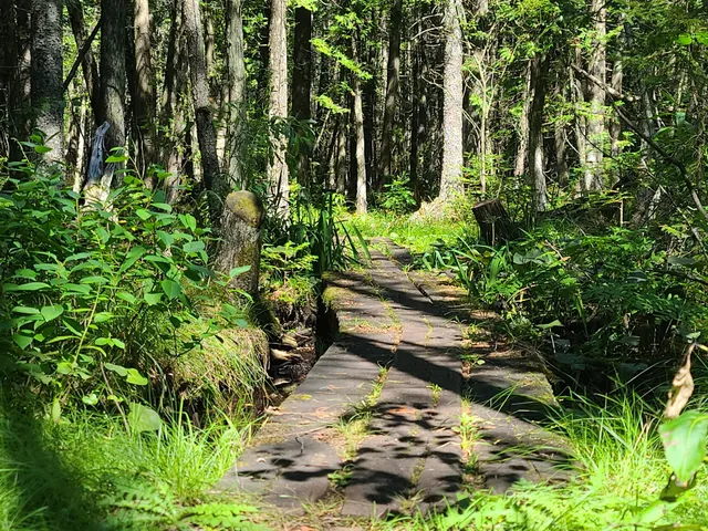 Horseshoe Bay Trail Trailhead