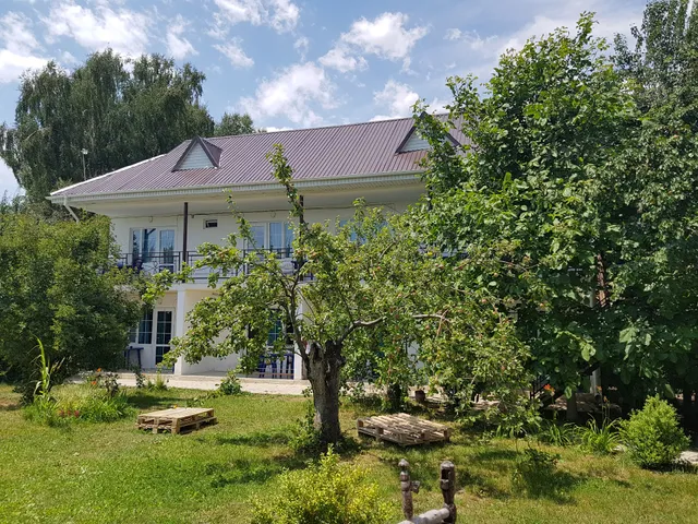 Greenville guest house