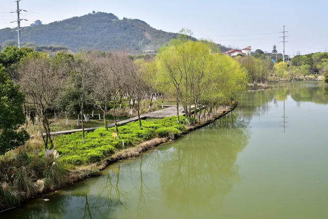 Wuxi Changguangxi National Wetland Park
