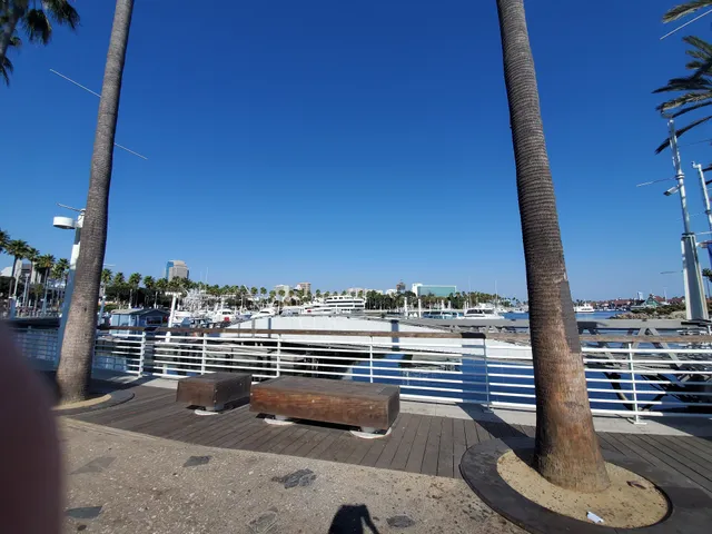 Pierpoint Landing Sportfishing