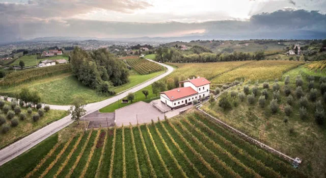 Le Vigne Terre Di Confine