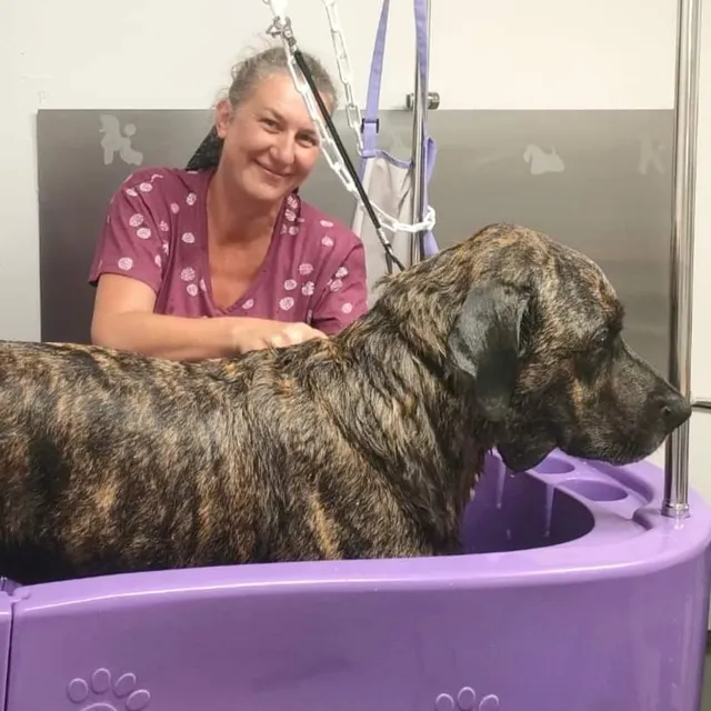 Bon Chien Bon Genre Toilettage