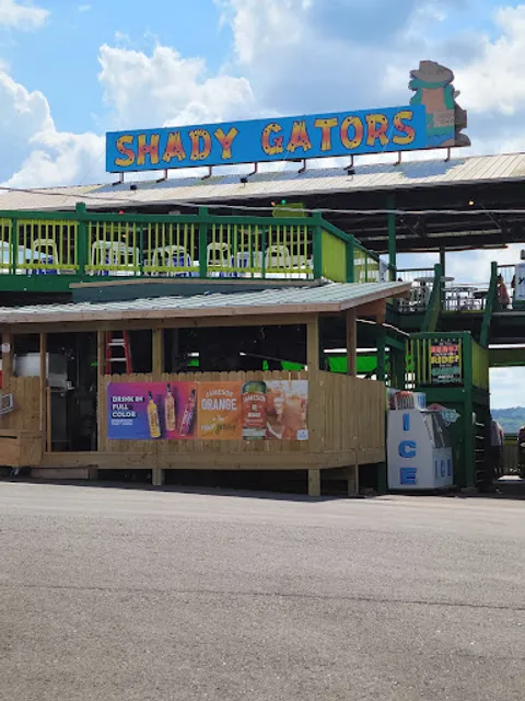 Shady Gators