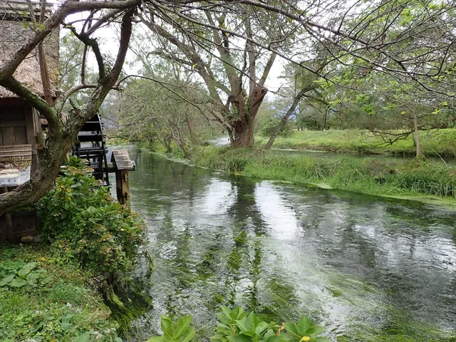 Daio Wasabi Farm Water Mill