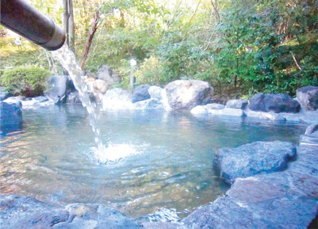 立ち寄り温泉 伊豆高原の湯