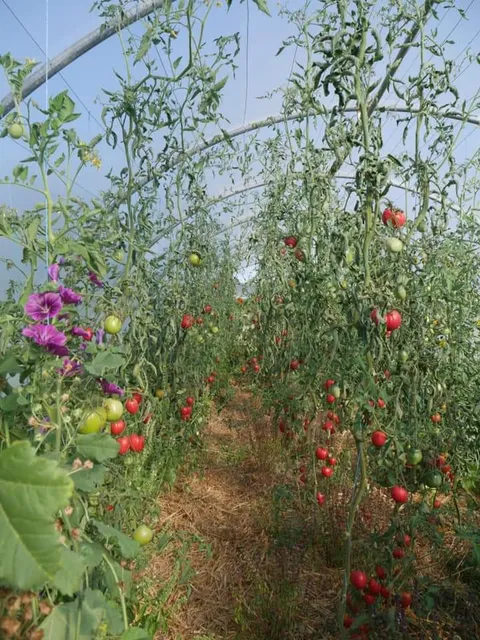 Les Jardins de la Thillaye