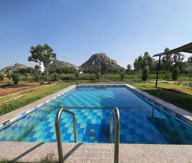 Jawai Dam Stay. Leopard Safari & Birds Photography.