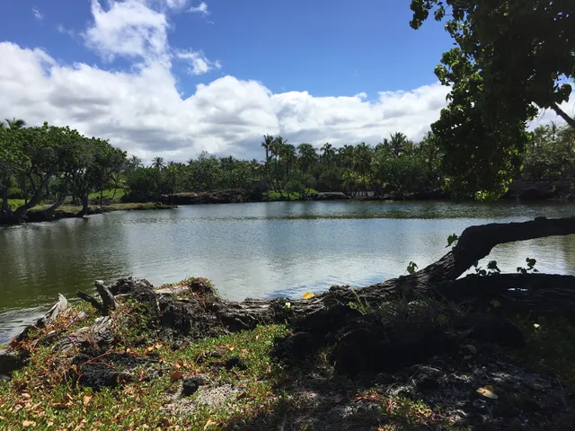 Kalahuipua'a Fishponds