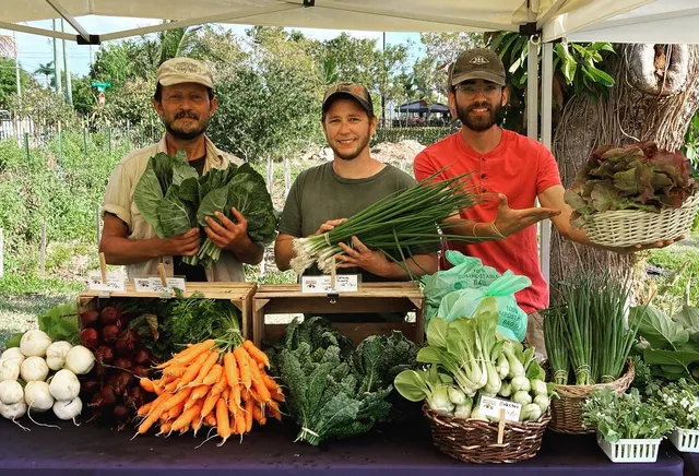 Westgate Community Farm