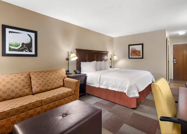 Hampton Inn Dallas-Irving-Las Colinas