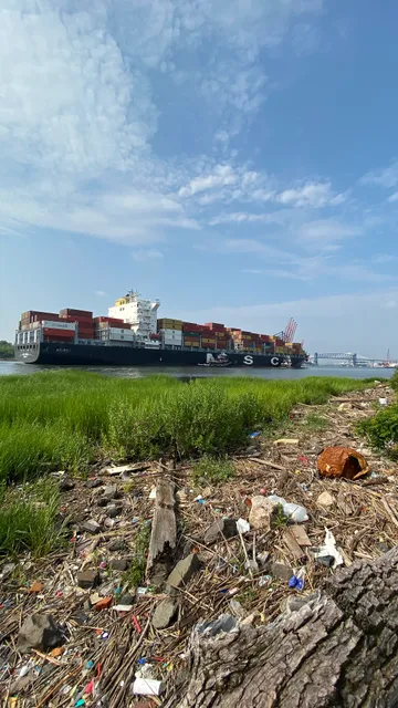 Marciante-Jackson-Millet Park