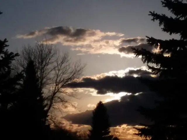 Optimist Park Warming House