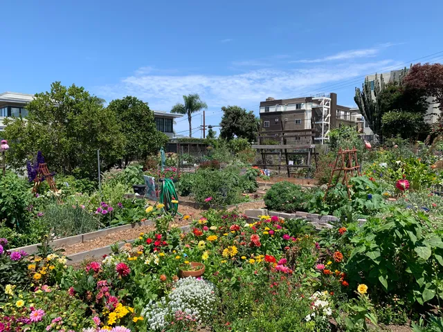 Juniper Front Community Garden