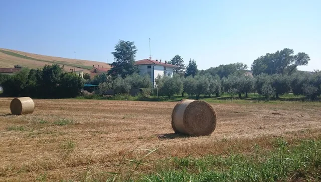 B&B Il Ponte di Legno