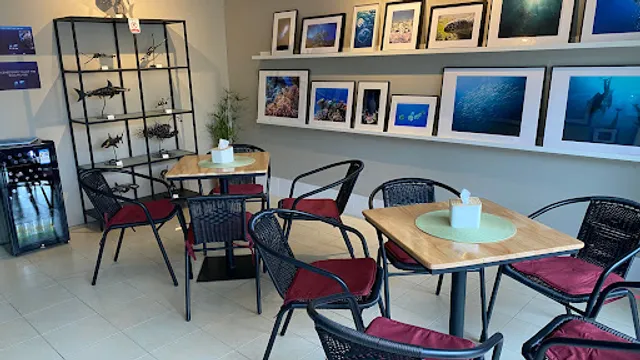 Ocean Café, Bar & Underwater Art Shop