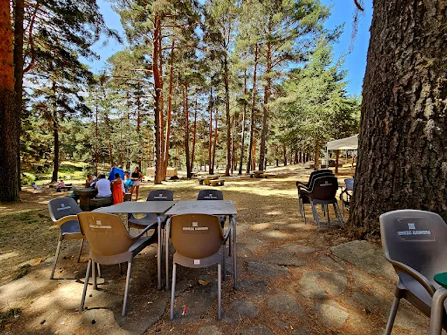 Bar Restaurante "Quiosco Puente el Duque"
