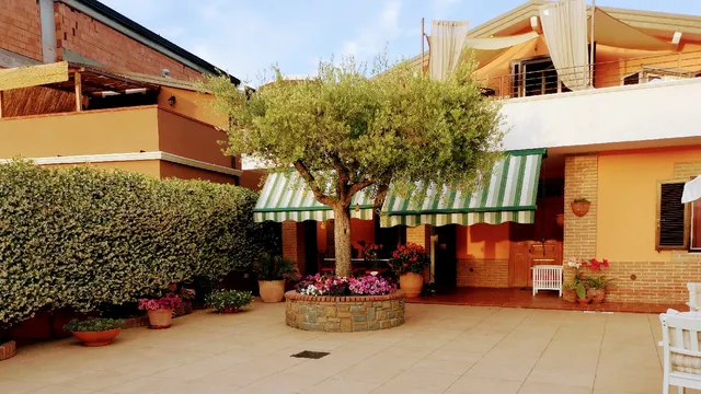 Una fuga inaspettata