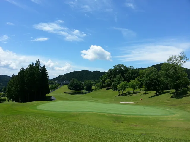 Golf Club Golden Wood