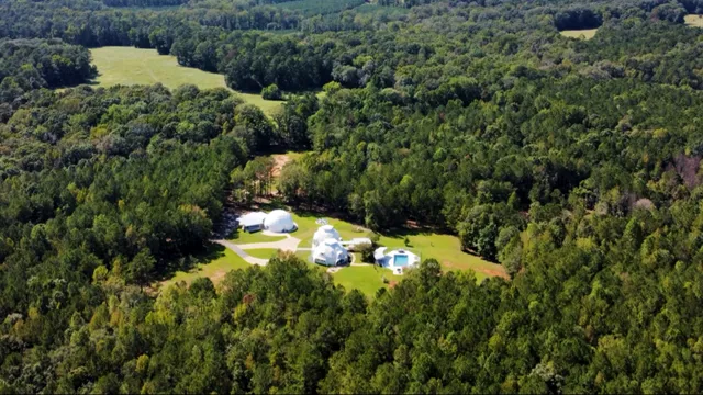 The Florrest - Boutique Retreat Forest