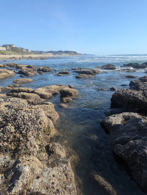 Tide Pools