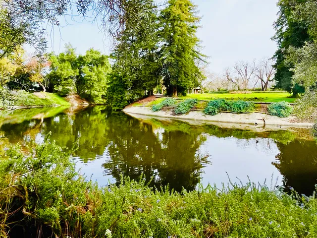 Early California garden