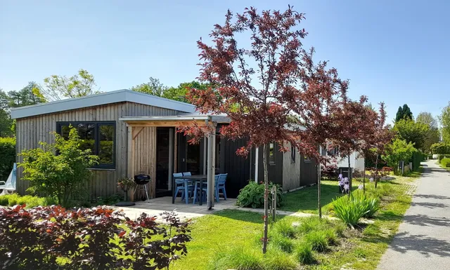 Camping holiday Stelleplas