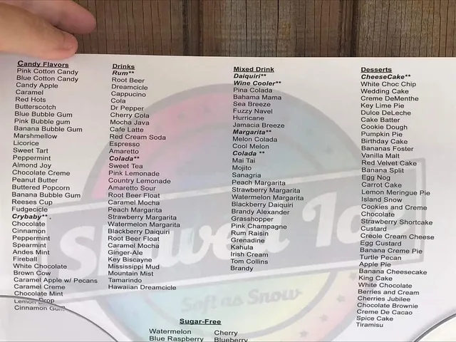 The Shaved Ice Place