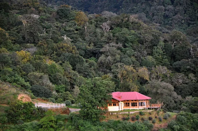 Mount Totumas Cloud Forest