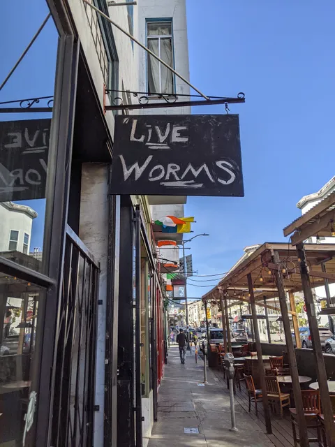 Live Worms Gallery