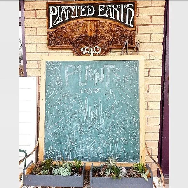 Planted Earth Plants and Antiques