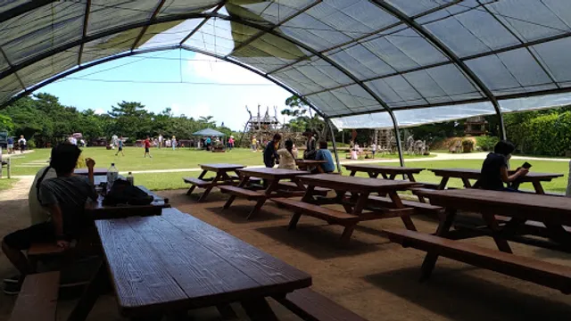 photo-1