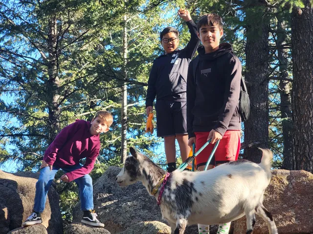 Guided Goat Hikes