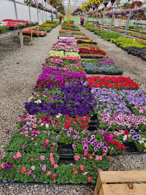 Five Points Farm Market & Greenhouse