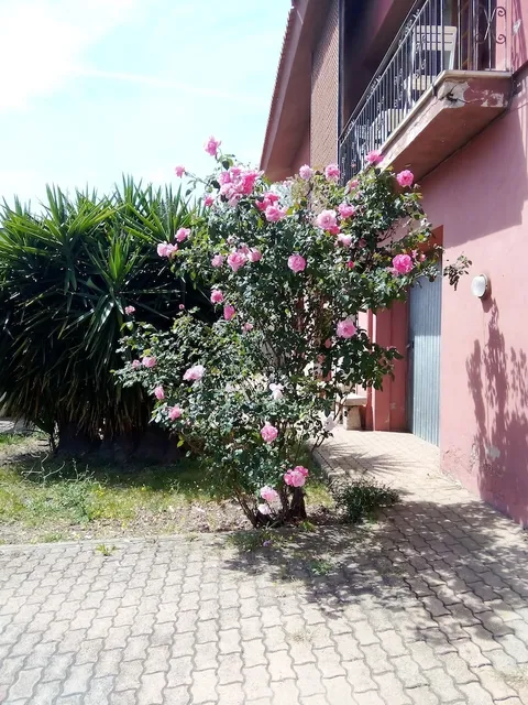 Ospitalità in famiglia Smeralda Room's IUN R5474