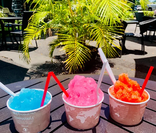 Gecko Girlz Shave Ice and Ice Cream Shop