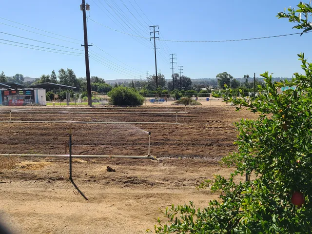 UCR Community Garden