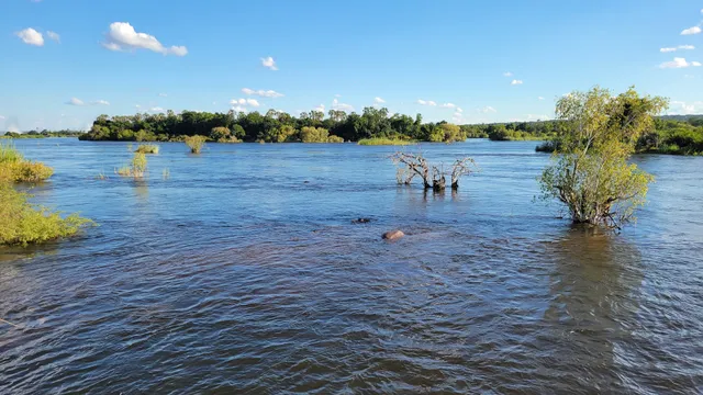 Zambezi River Cruise Terminal