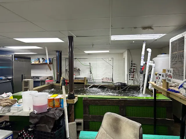 Williby's Catfish | Fresh Catfish Restaurant