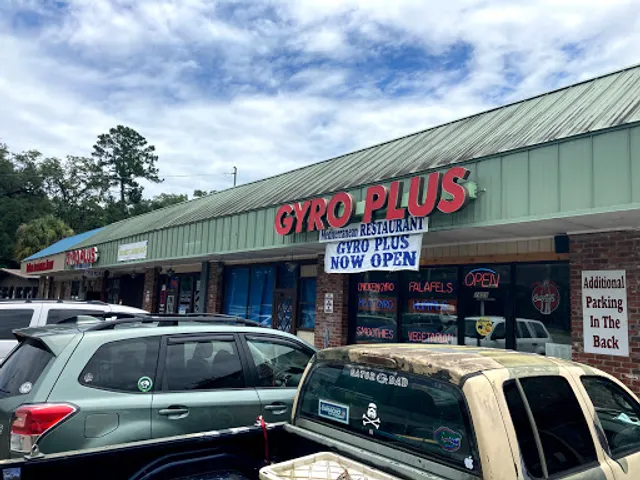 Gyro Plus