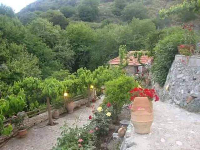 Angela's River Paradise