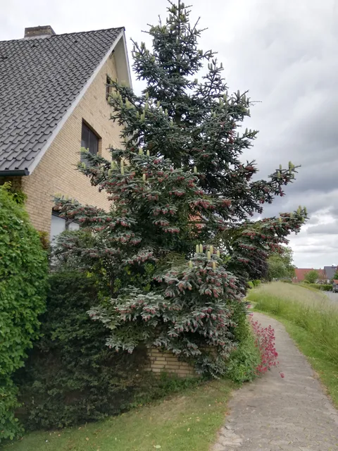 Ferienwohnung "Auszeit" an der Este